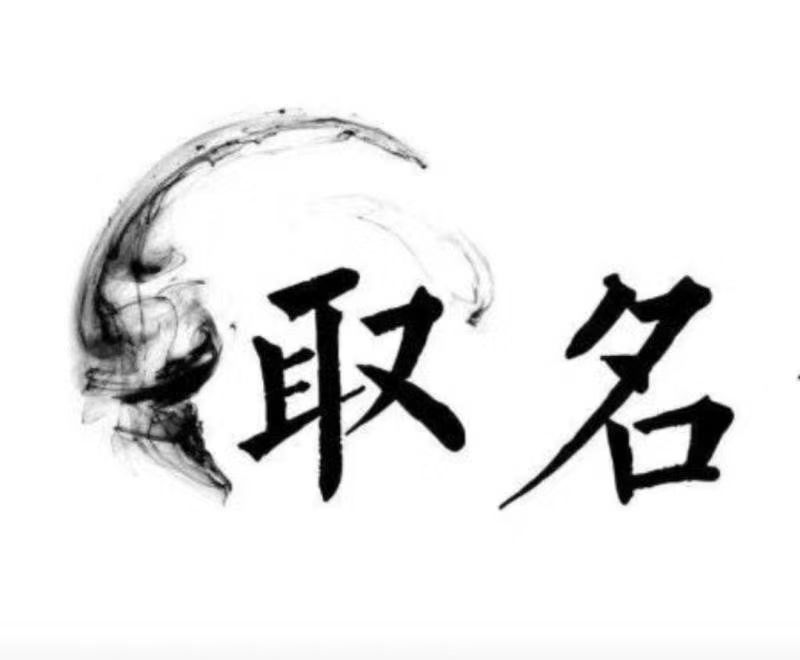  临清宝宝取名 大师一对一人工起名
